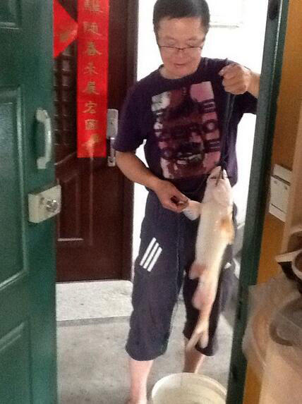 长江十大淡水名鱼,钓上来罕见红鲤鱼