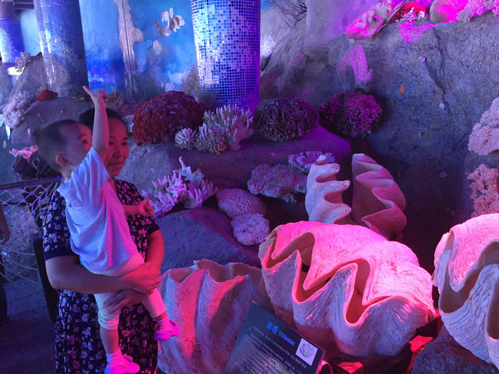 心向远方勇闯天涯,心向远方越野