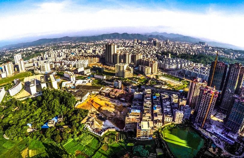 中国桂圆之乡广西博白,博白的桂圆和莆田桂圆谁好