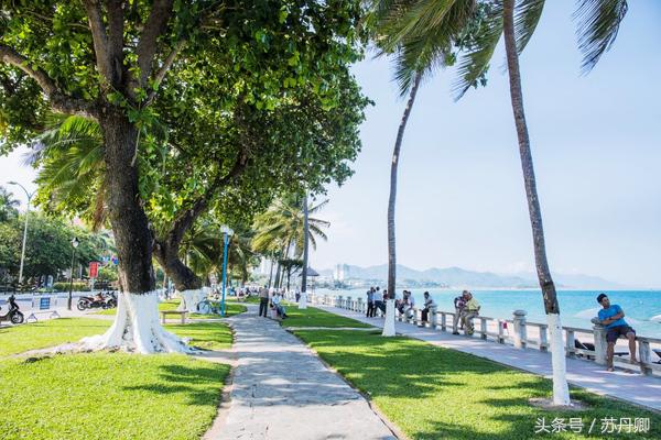 马尔代夫和芽庄哪个好玩,一个人的马尔代夫