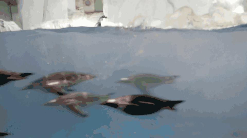 大连好玩的地方滨海路,大连东北路有什么好玩的