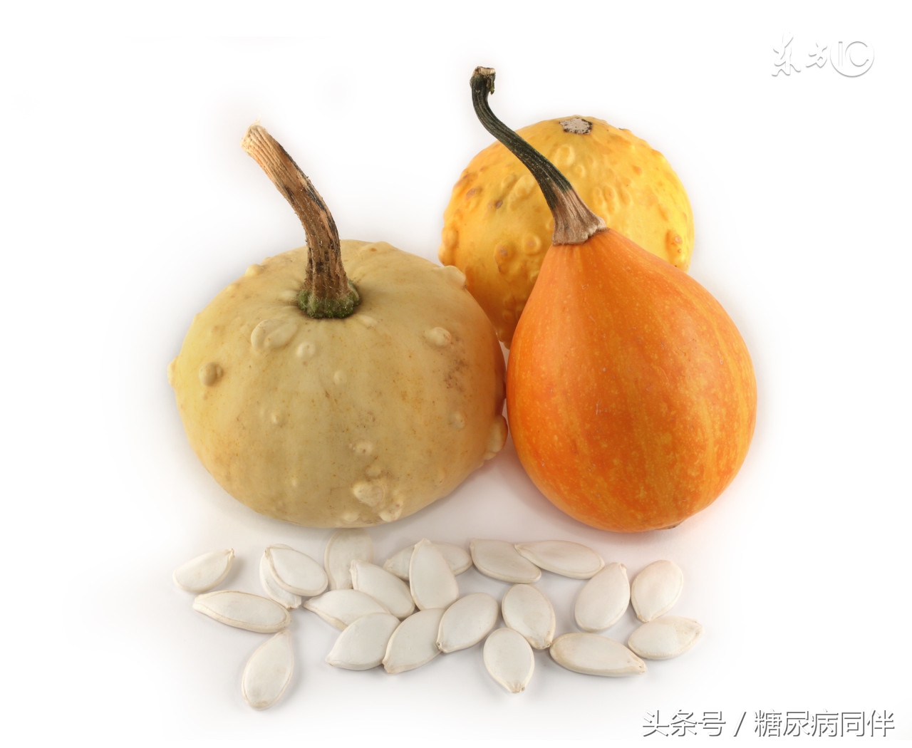 南瓜子降糖吗糖尿病人能多吃吗,生南瓜子能降糖吗