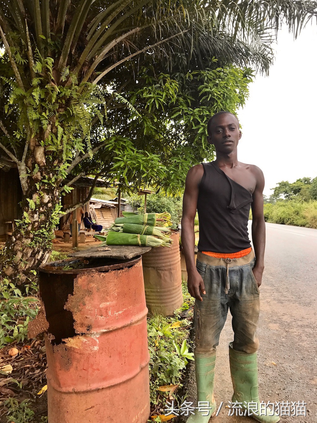 加蓬最不真实的地方,加蓬自然风光