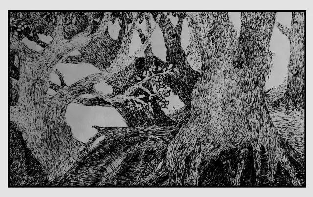 插画师迷狸:路过,停留