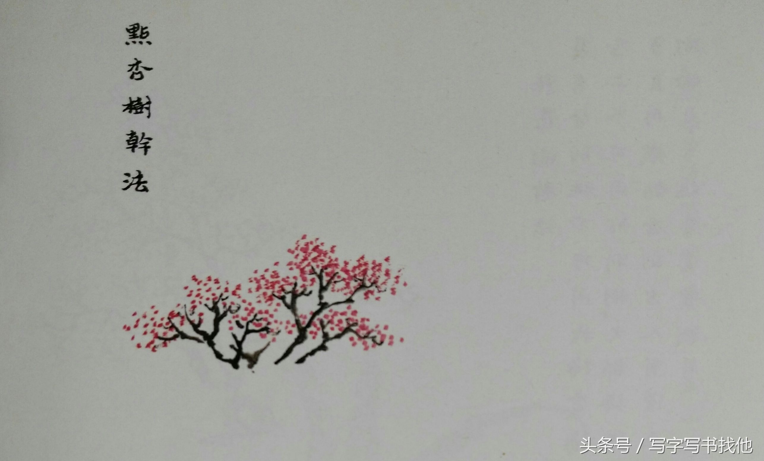 大写意花鸟画技法视频芭蕉,中国画大写意芭蕉叶画法