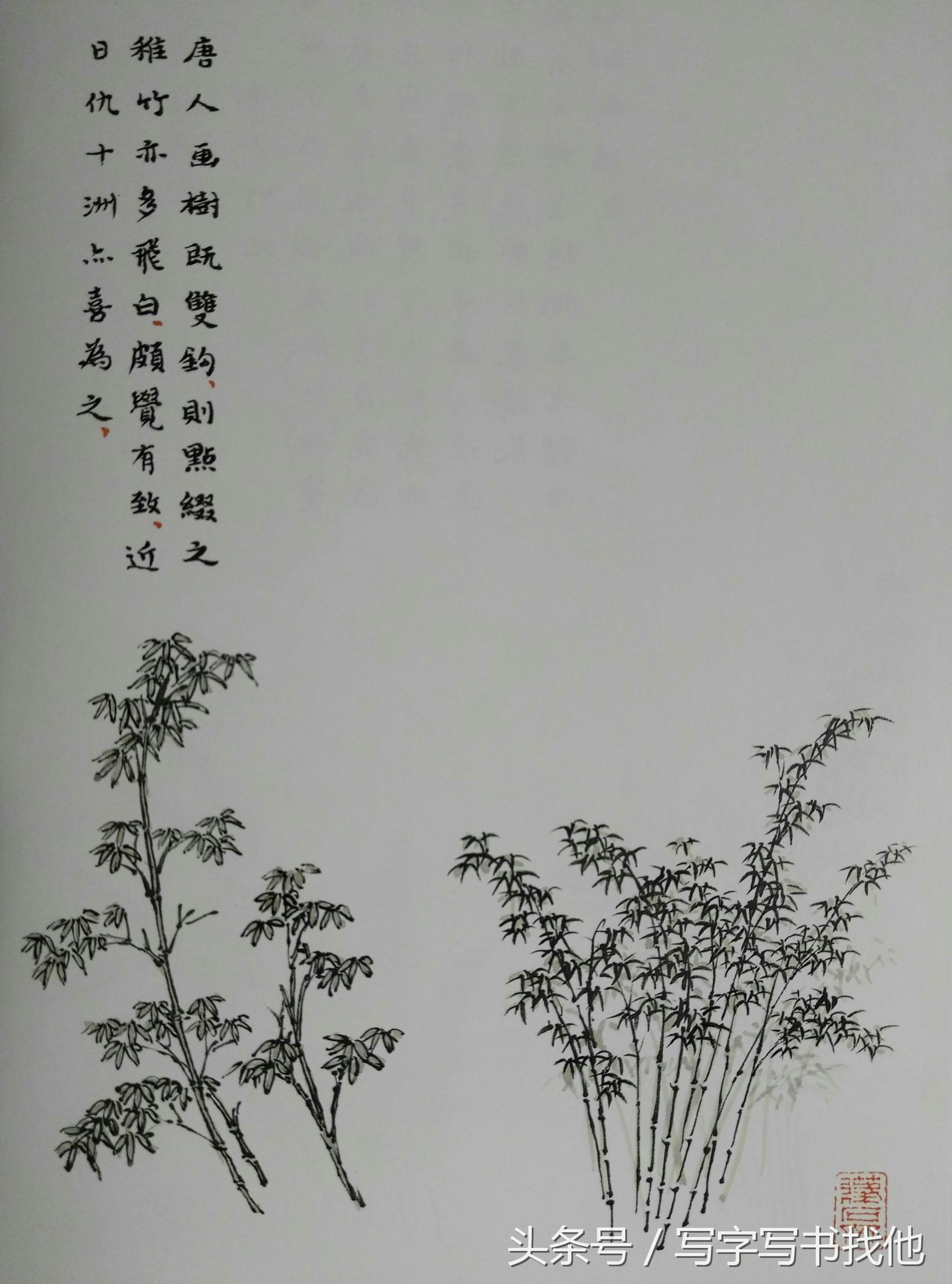 大写意花鸟画技法视频芭蕉,中国画大写意芭蕉叶画法