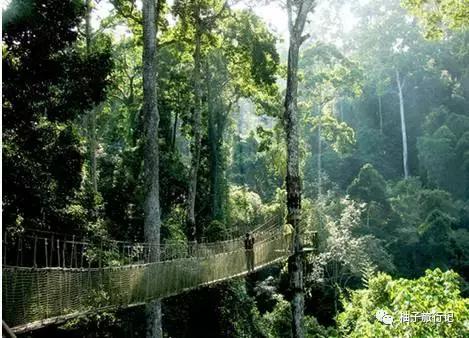 泼水节西双版纳旅游需要注意什么,西双版纳泼水节防晒攻略