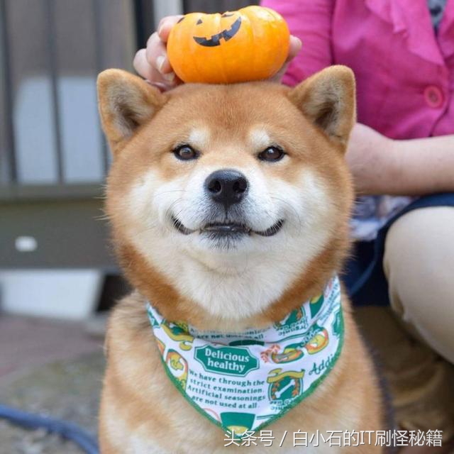 artdialog边框,artdialog使用