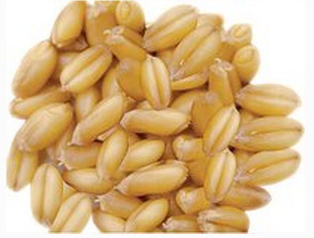 评测国内军粮自热军粮,各种军粮测评