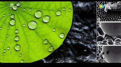 在雨天里装逼,用了这三个黑科技竟然可以不湿身!