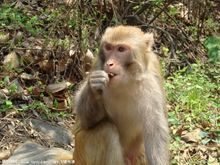 最美云台山风景区,自然之美云台山