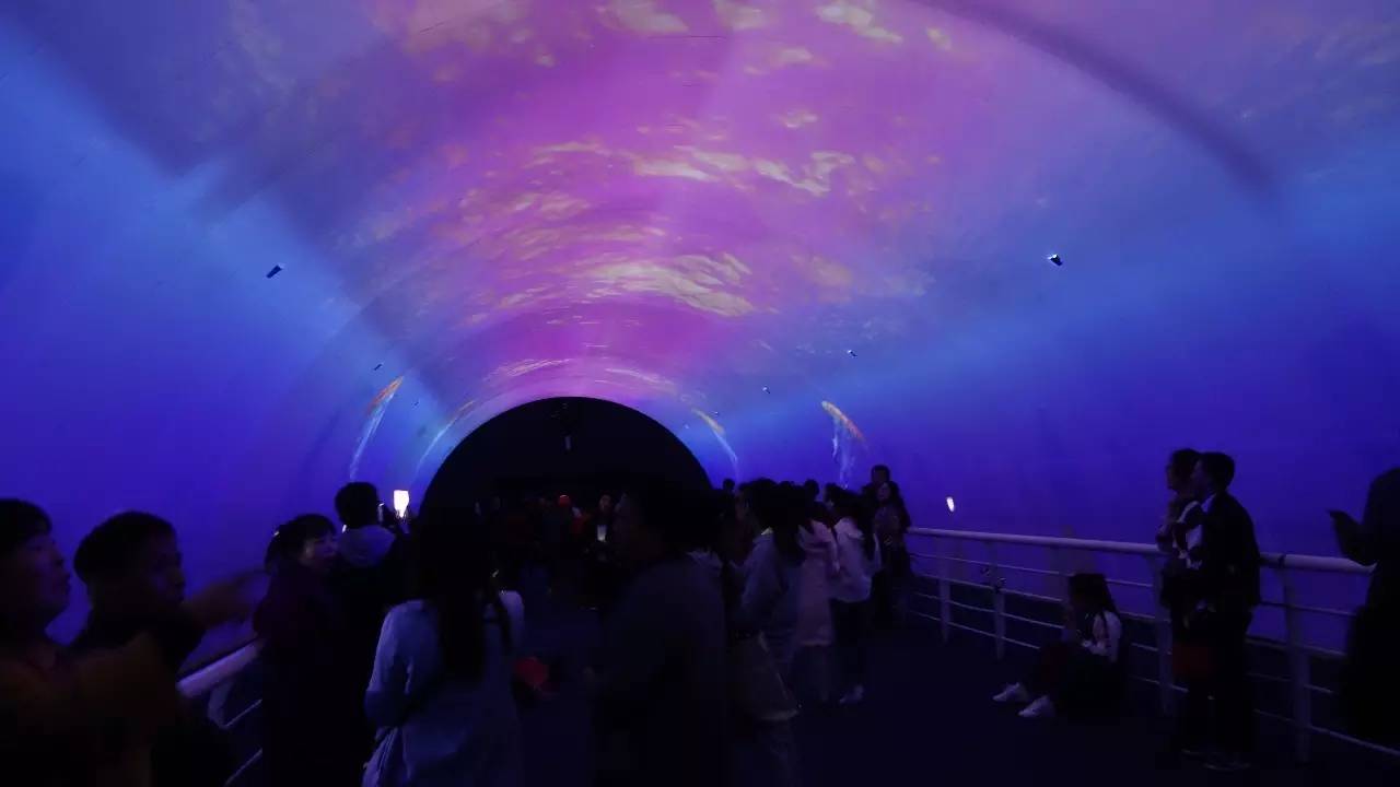 大连好玩的地方滨海路,大连东北路有什么好玩的