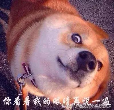 吸脂瘦身｜让你在夏天更美一点！