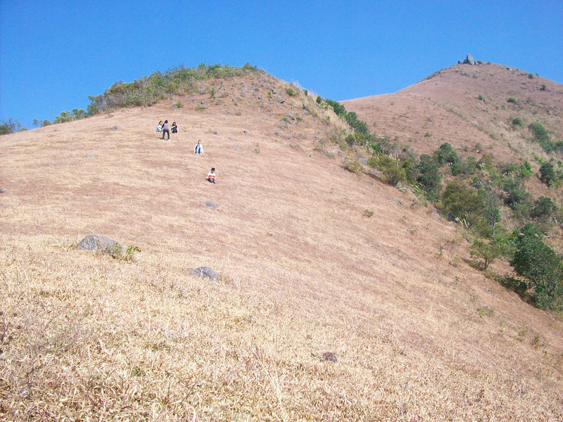 中国桂圆之乡广西博白,广西博白县桂圆柚之乡