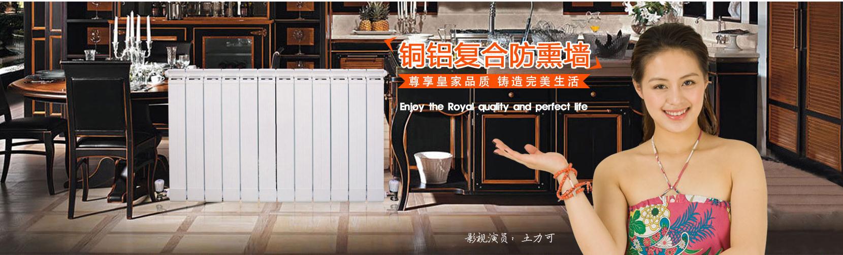 供暖行业发展论坛,散热器行业新闻