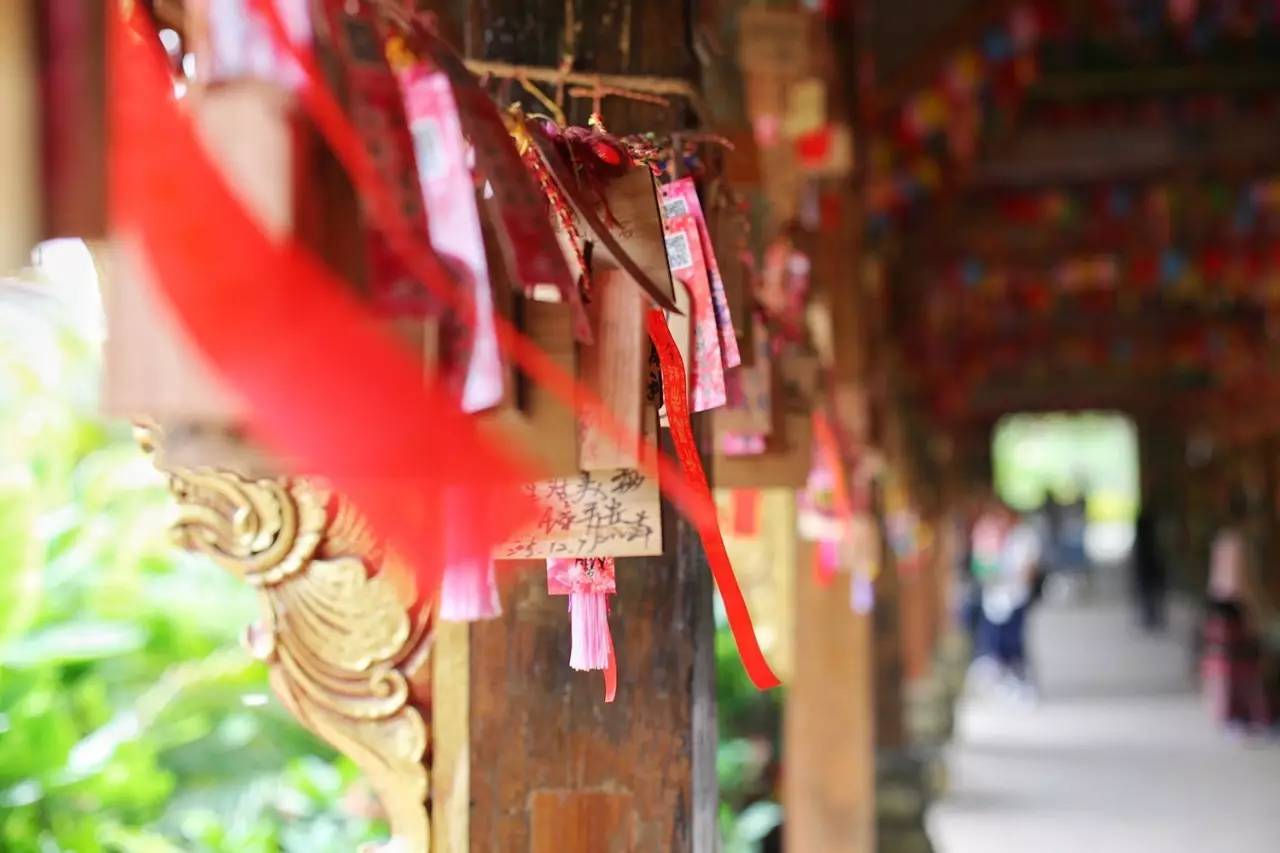 徐千雅彩云之南西双版纳,彩云之南云南西双版纳景色