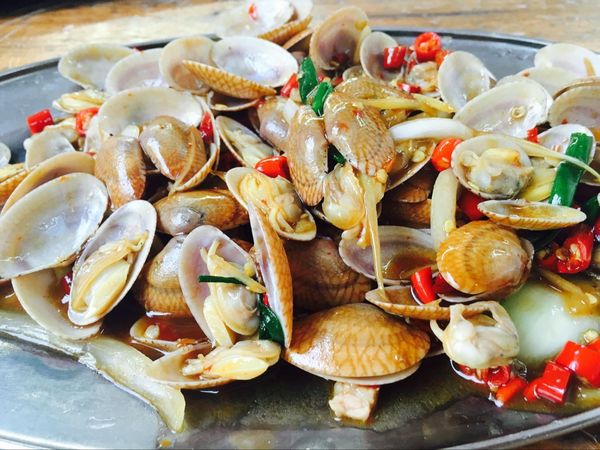 心向远方勇闯天涯,心向远方越野