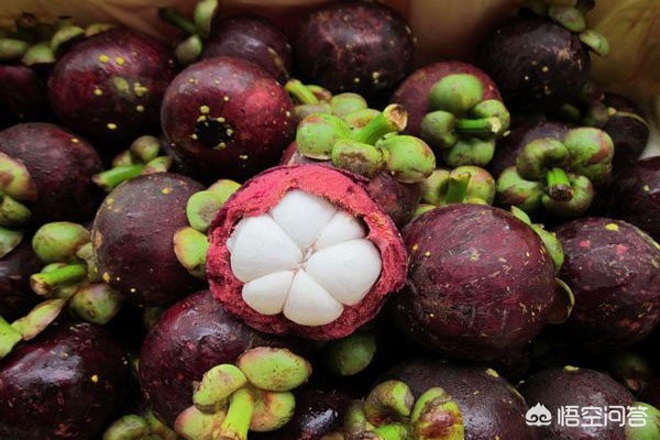 山竹为什么很贵科普,山竹口感作用