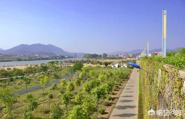 农村比较赚钱的种植养殖项目,农村种植养殖什么项目好