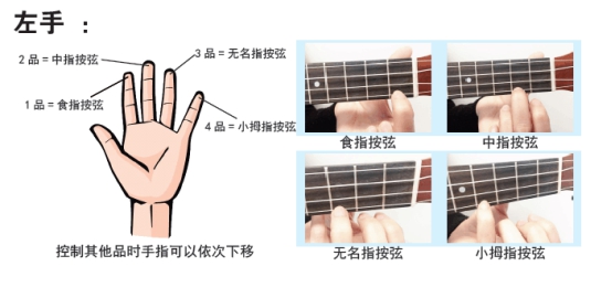 尤克里里新手入门教程Gorilla亲授尤克里里初学者简谱教程