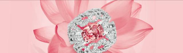 那些没整容的明星,那些没整容越来越好看的明星