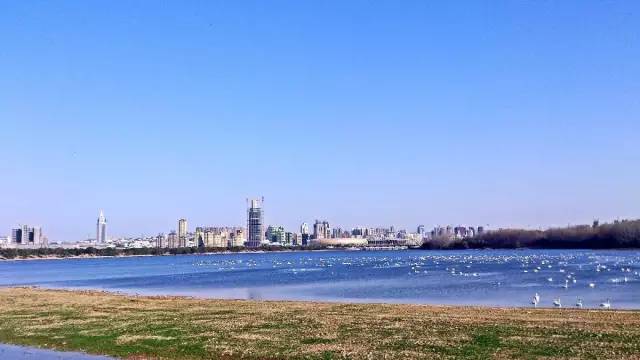 河南18地市平均工资与彩礼,河南18市平均工资与平均房贷