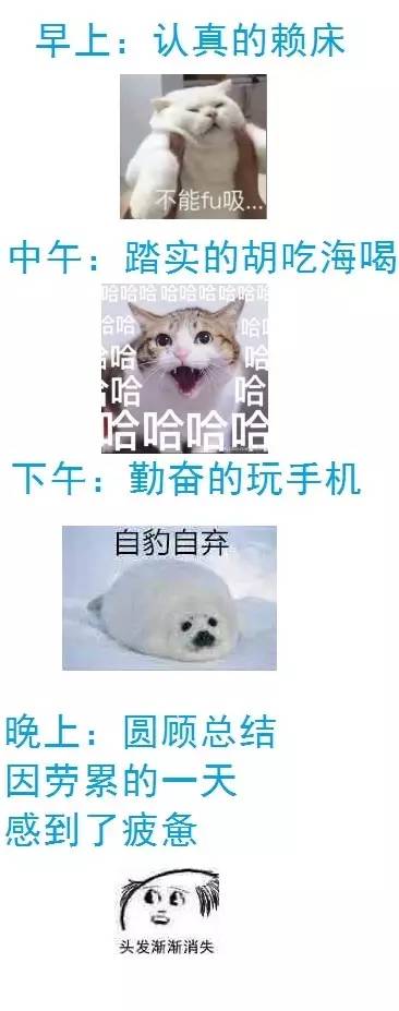 午间版：关系、躺列都是啥？二次元黑话不懂了！