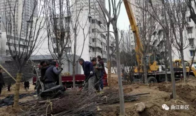 五人足球场设计效果图,西安5人制足球场翻新