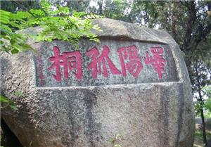 中国旅游日徐霞客游记,中国旅游日活动5月19日