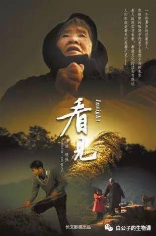 生孩子是怎么回事？反正不是好事，只有切身体验过才会懂！