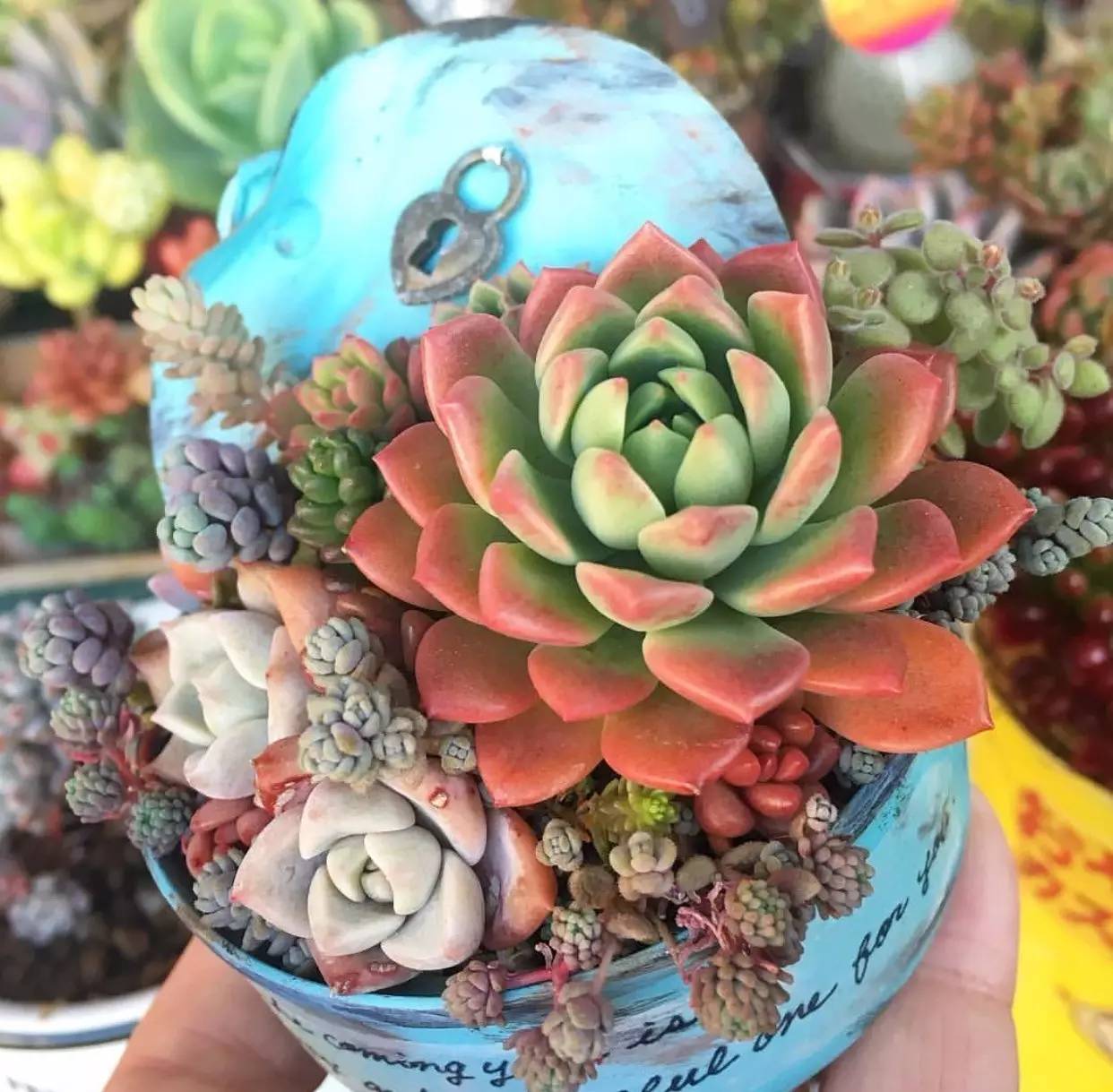 滚蛋吧，黑腐君！深度解析黑腐成因和解决之道