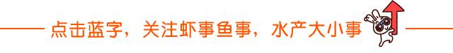 蟹的养殖方法和技巧,养殖后期怎样养出精品蟹