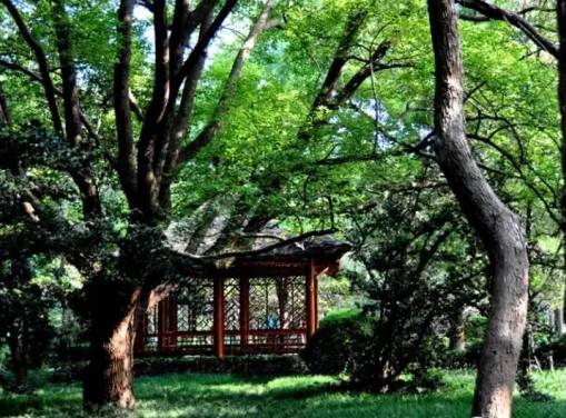 来一场说走就走的旅行江苏,等老了去旅行