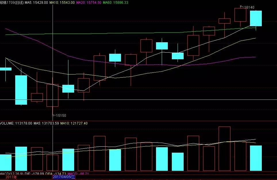 24年棉纺织行情最新走势,棉纺行情