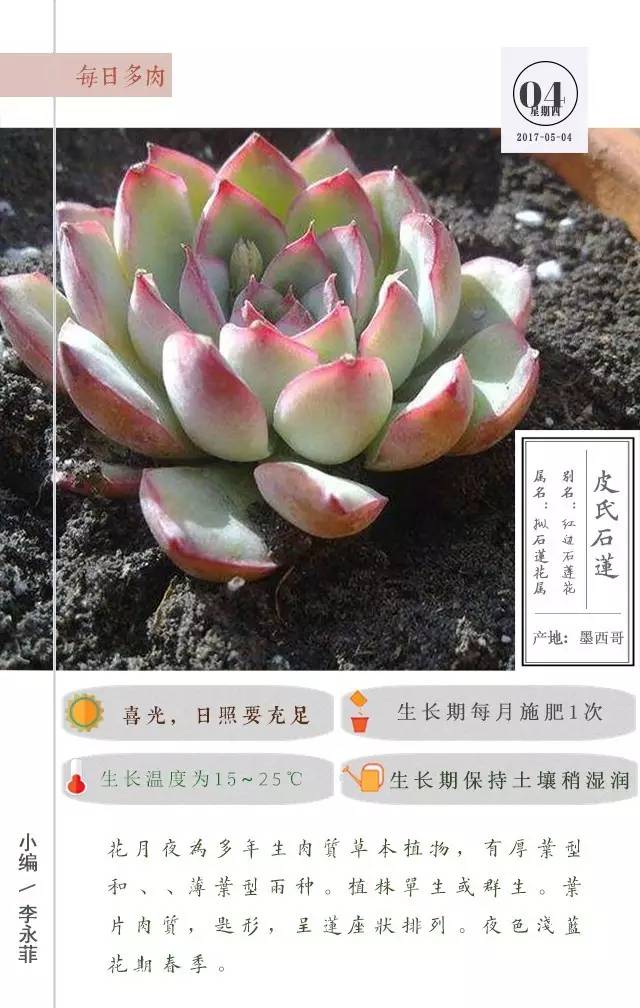 每日分享｜从古到今说来话，不过是情而已,5月3日）