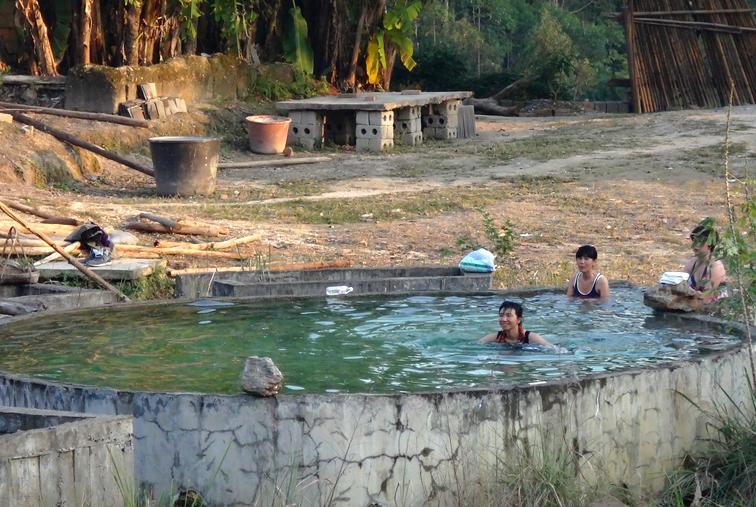 广西博白县桂圆柚之乡,广西博白桂圆2023批发价格