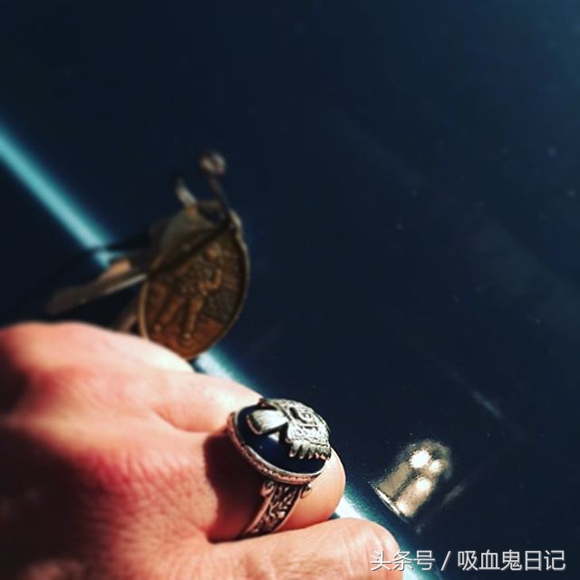 吸血鬼日记中达蒙是谁演的,吸血鬼日记男主角达蒙个人资料