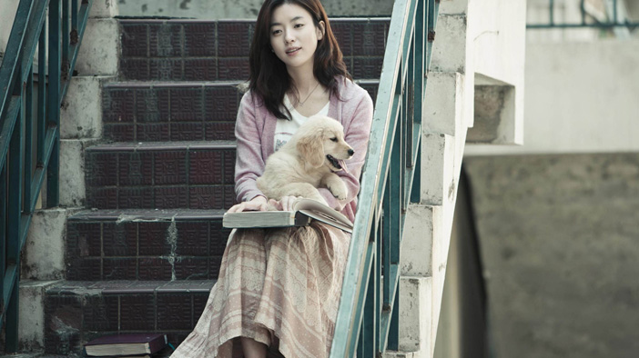 饲养狗狗应坚持的四点,饲养狗狗5大常识要记牢