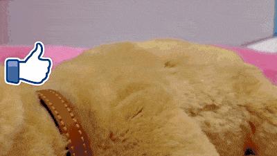 3种最适合送给孩子的高科技玩具,最实用的十款玩具推荐