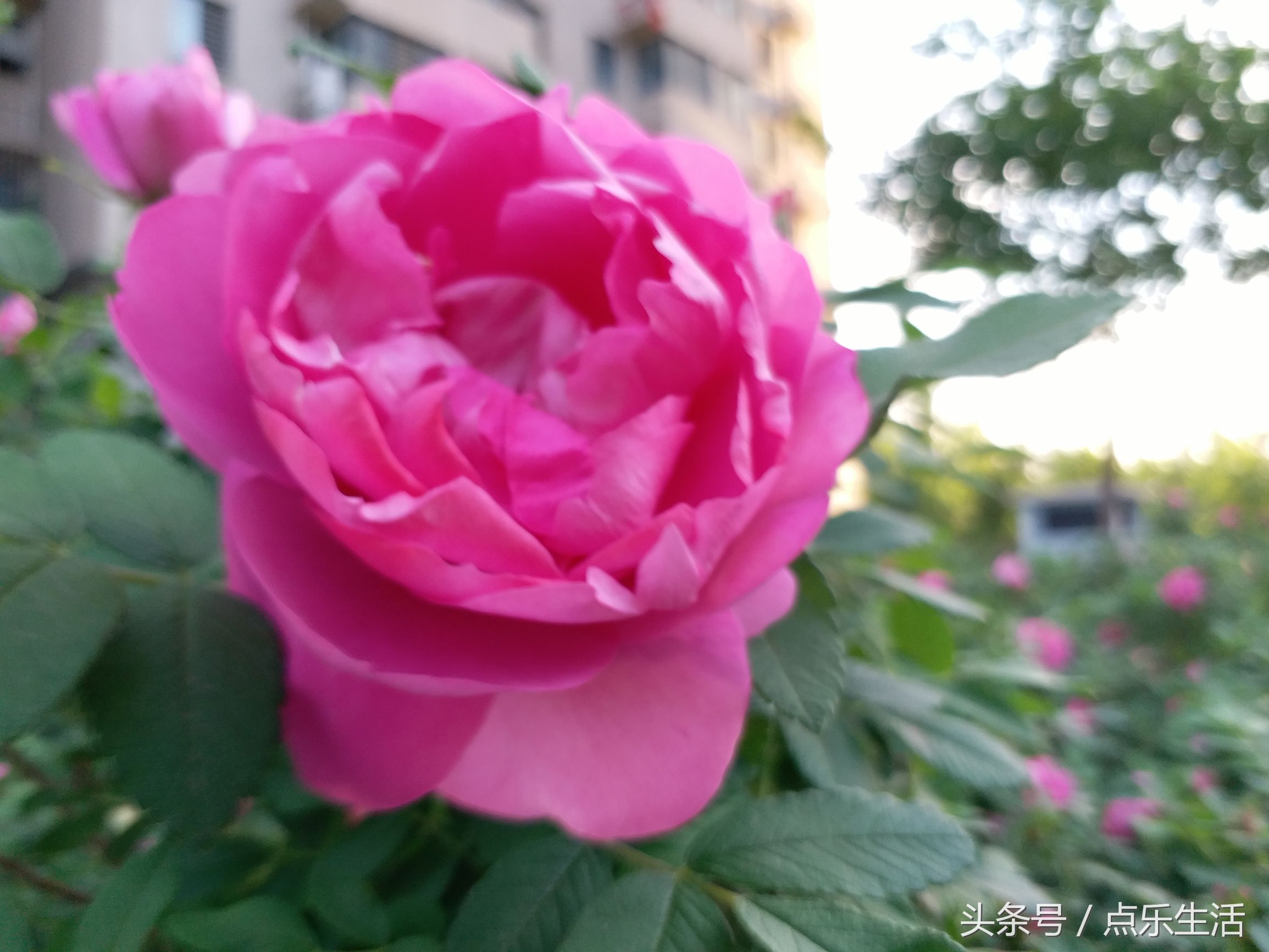 快活一时苦难一世,人活一世历经沧桑