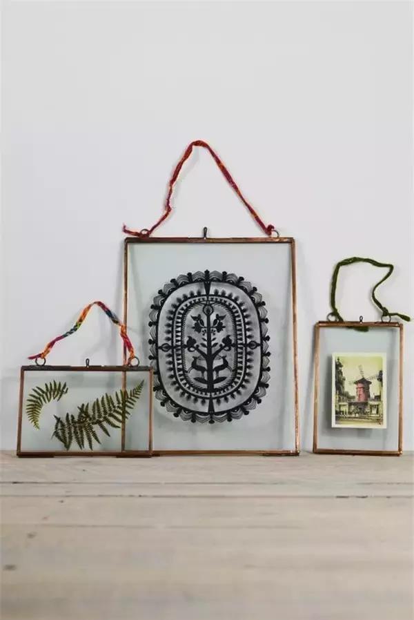 植物标本挂在墙上好看 (植物标本挂墙上)