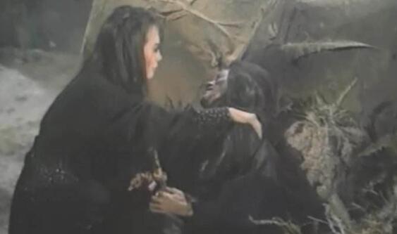 周芷若的九阴真经是黄药师写的吗,金庸武林绝学周芷若