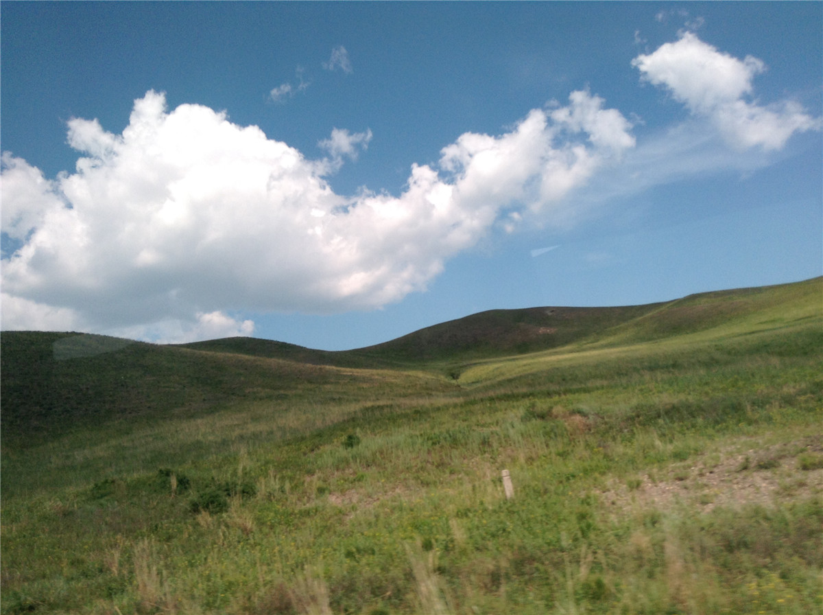 辽阔的草原绿色的歌完整版,辽阔的草原绿色的歌