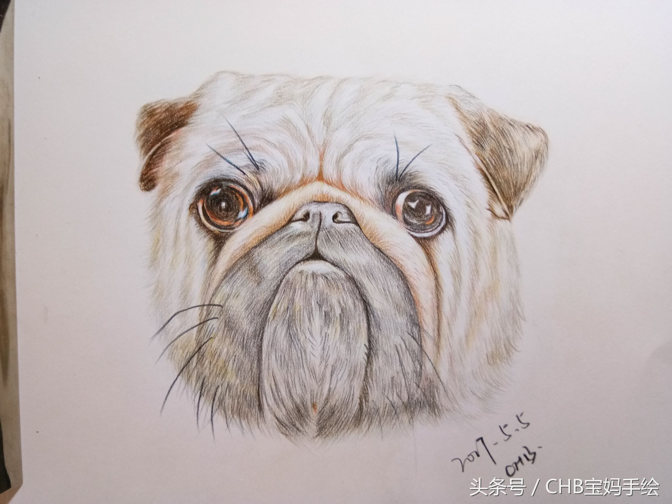 零基础学铅笔画入门小狗,零基础自学彩铅画入门教程