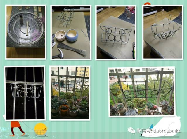 入多肉坑那些年踩过的误区,自从入了多肉坑