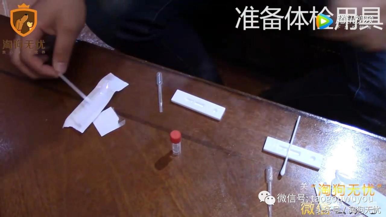 狗狗出售成本多少,狗狗卖出去注意事项