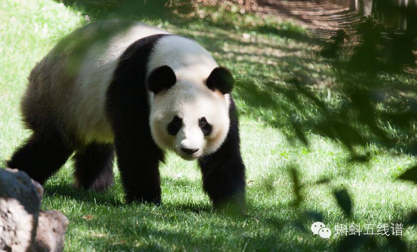 震惊众人的片段,惊呆众人的现场