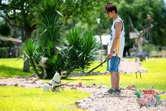 陈柏霖的暖男形象,陈柏霖最佳男友完整版