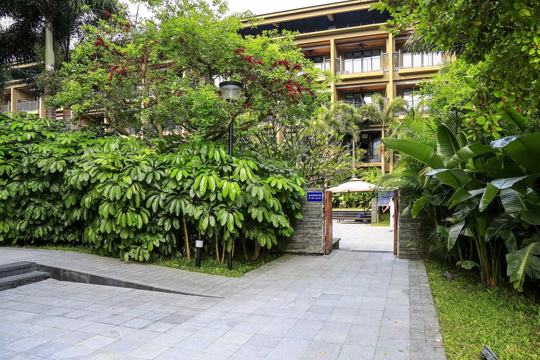 这样的休闲度假方式也很不错