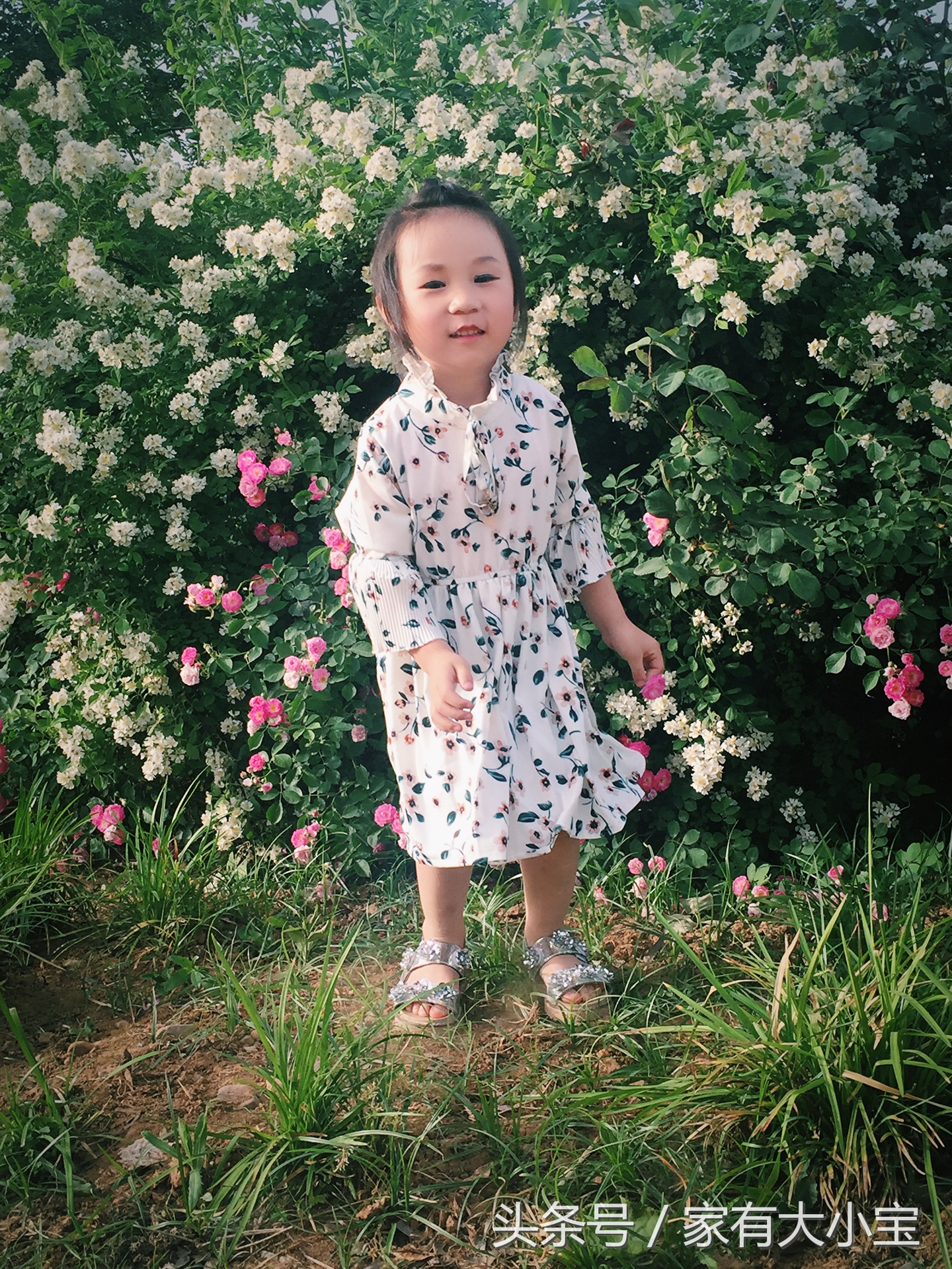 人这一辈子一定要生个女儿,这辈子一定要生一个女儿的文案